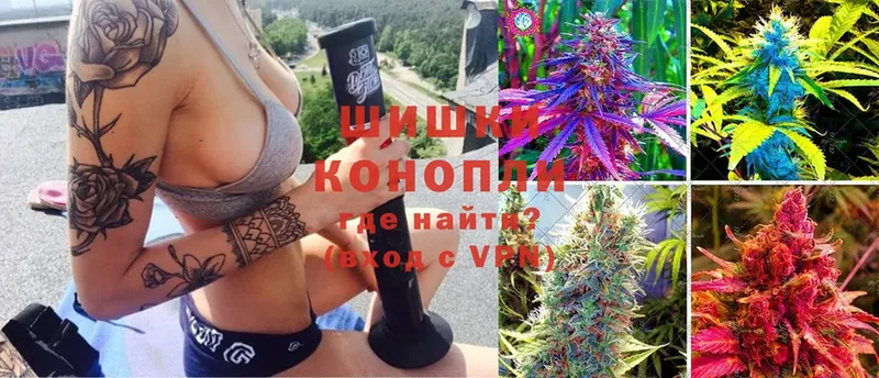 где найти наркотики  Новосибирск  Шишки марихуана планчик 